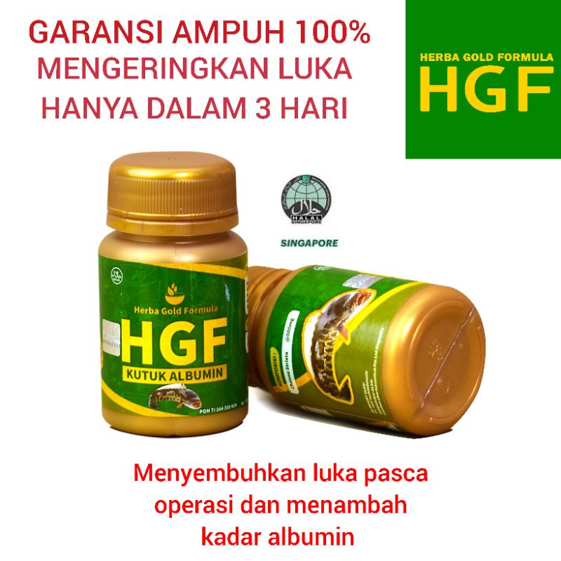 Jual Kutuk Albumin Herbagold Formula Hgf Kutuk Premium Obat Luka Habis Operasi Ampuh