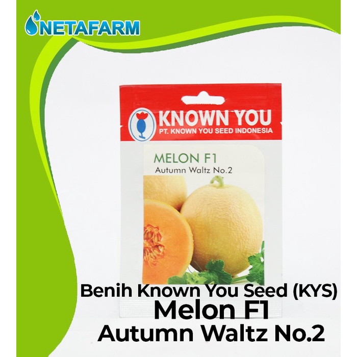 Benih / Biji / Bibit KNOWN YOU SEED KYS MELON F1 - 1 Pack