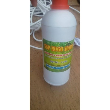 SBP Nogososro campuran minum untuk ayam petelur | Murah terbaru