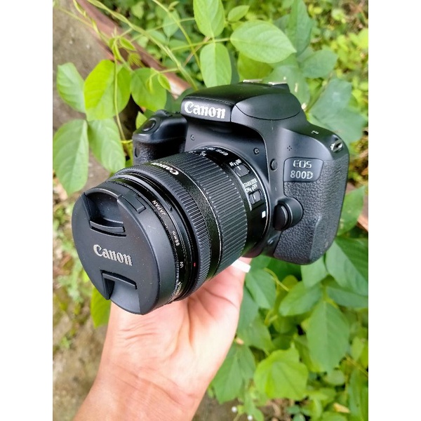 canon 800d