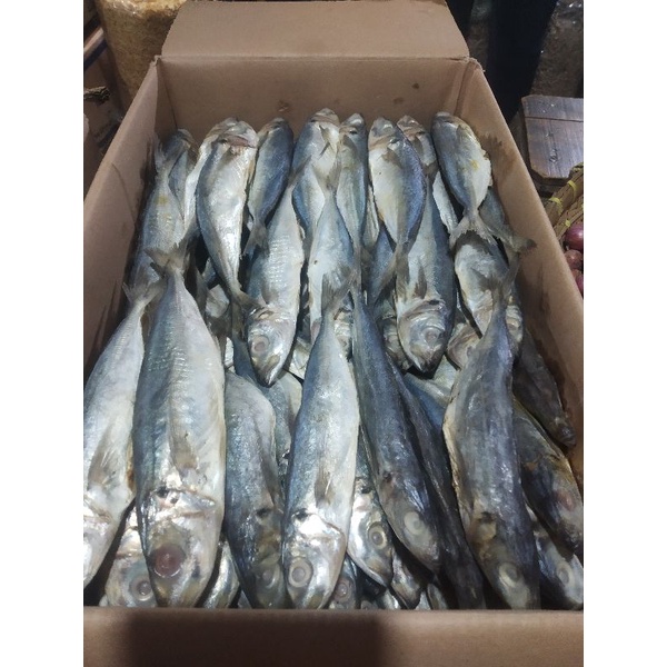 

Ikan Asin Klotok Pedak Kemasan 250 Gr