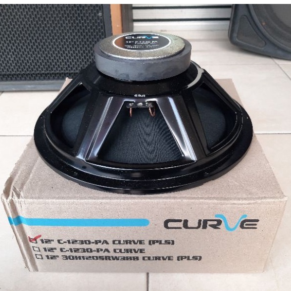 Speaker 12&quot; 12 inch CURVE C 1230 PA Full Range