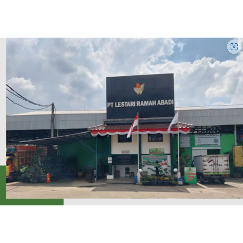 

Forcysn Daging Ayam Dada Fillet Boneless Dengan Kulit 1Kg