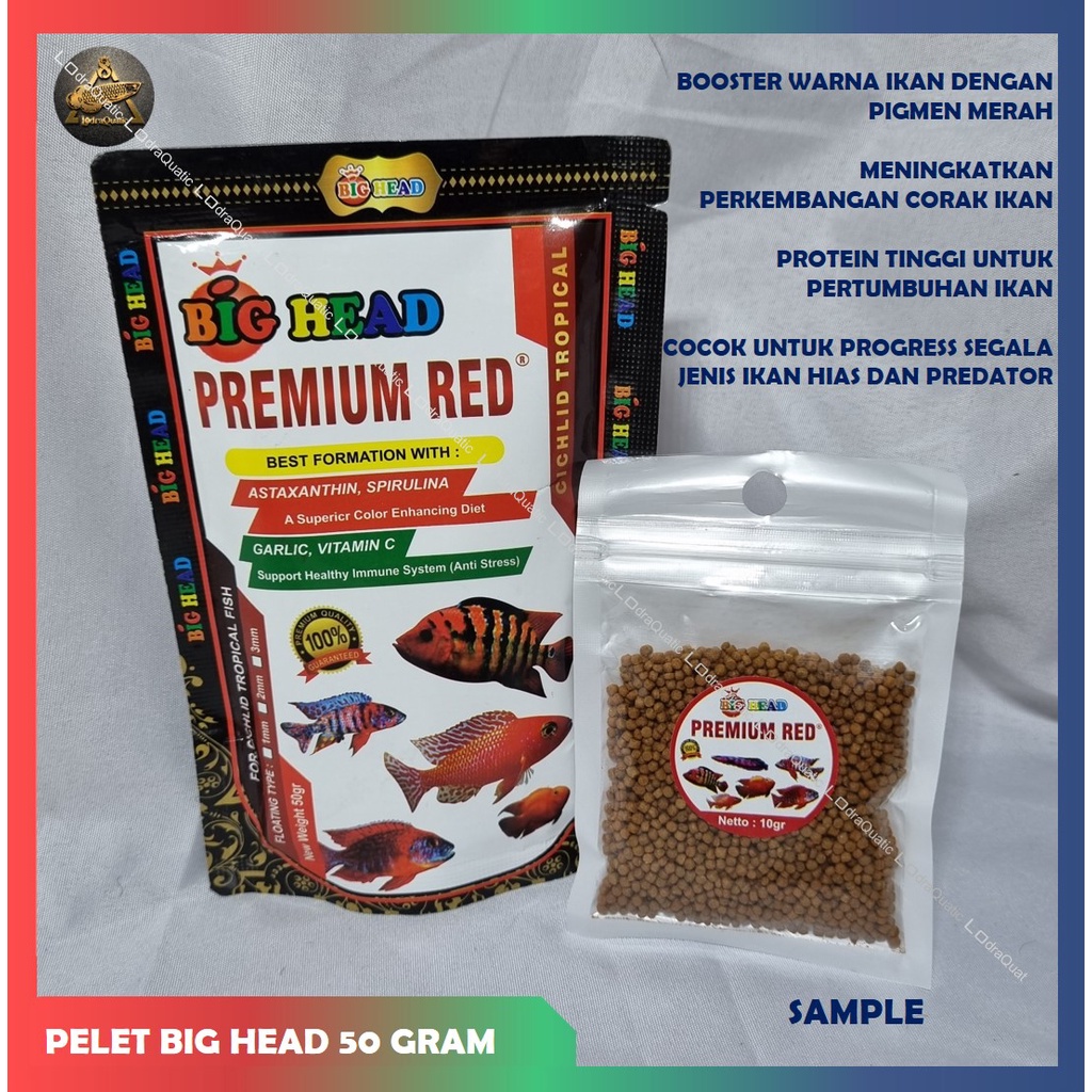 PELET BIG HEAD 50 GRAM PELET PROTEIN TINGGI SPESIAL BOOSTER WARNA CHANNA  PELET LOUHAN ANTI STRESS PELET PREDATOR PELET PREMIUM YELLOW PREMIUM RED PREMIUM BLUE PELET BIG HEAD PLATINUM BOOSTER WARNA IKAN PELET CUPANG GUPPY CICHLID LOUHAN CHANNA ARWANA