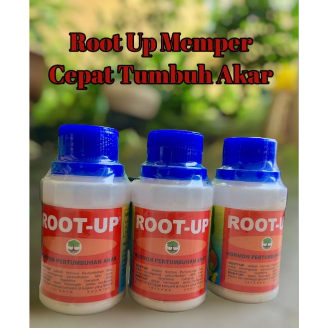 RootUp Root Up Penumbuh Akar 100gr
