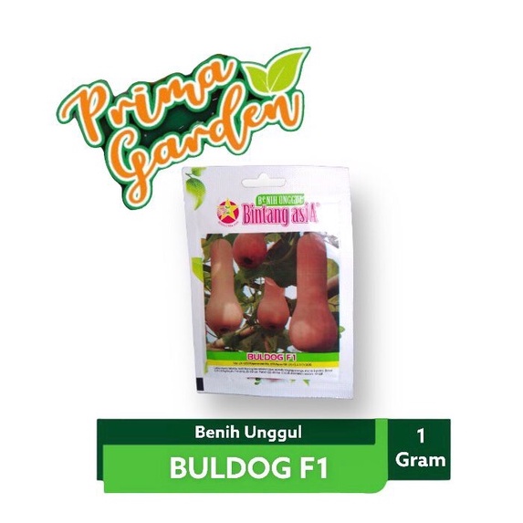 Benih- Bibit Labu Madu BULDOG F1 Bintang Asia