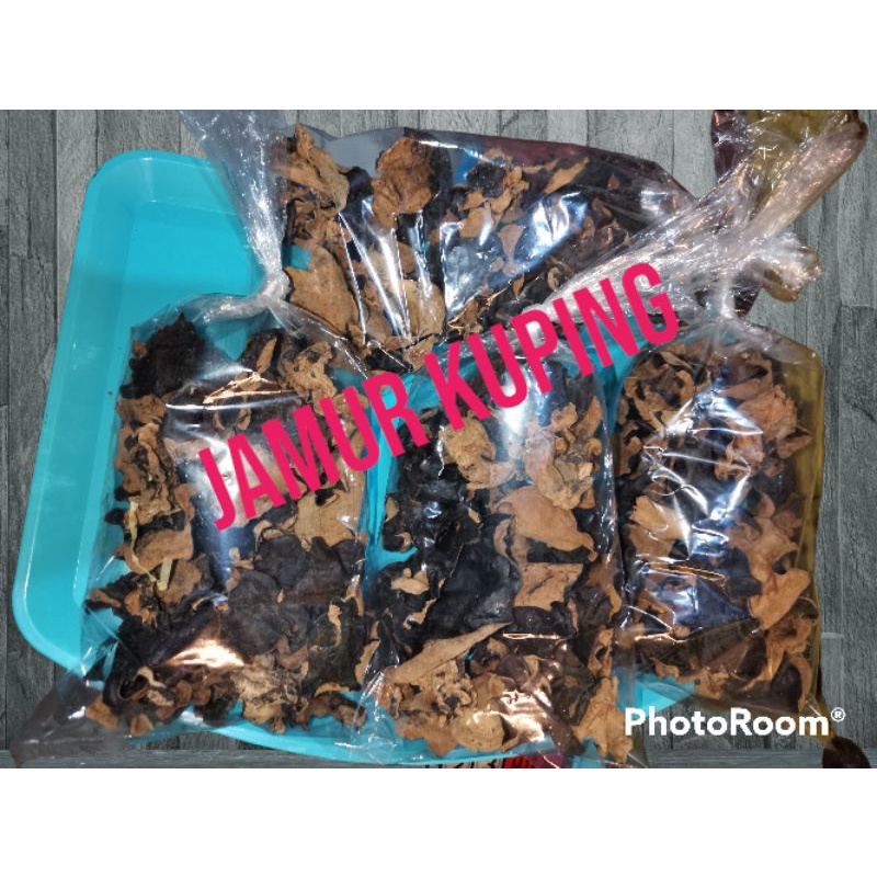 

JAMUR KUPING