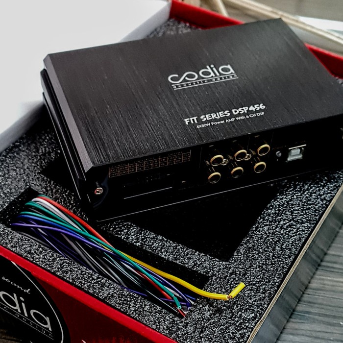 CODIA 456FIT 6ch processor