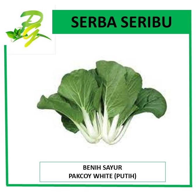Benih Seribuan Benih Biji Pakcoy White Pakcoy Putih