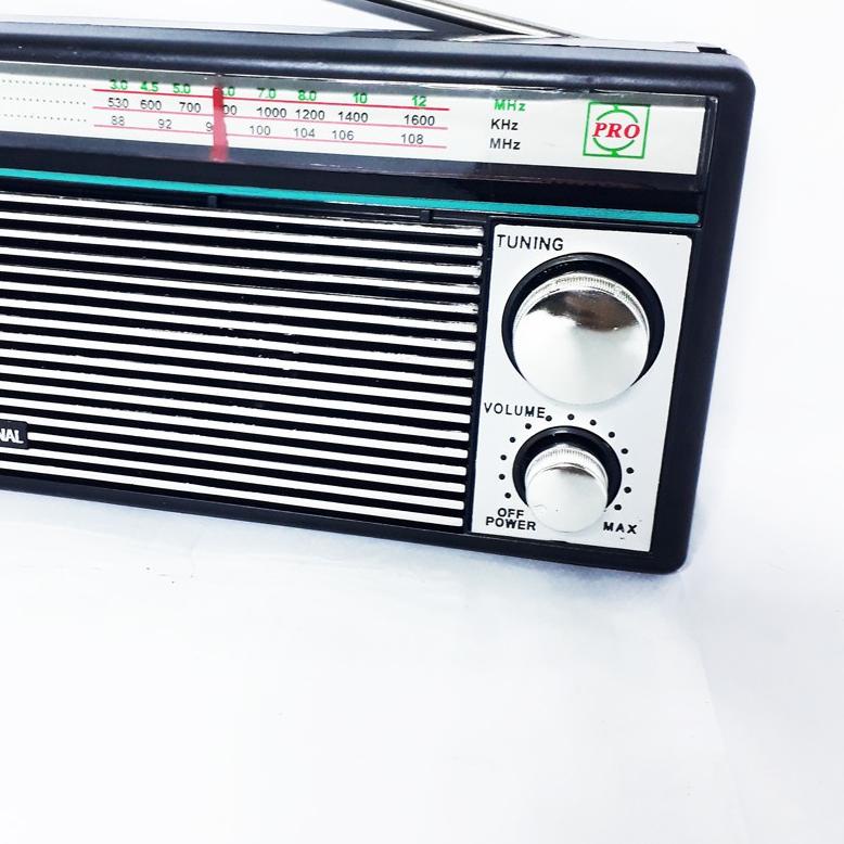 Radio International F 1211 Portable AM FM Portable Radio