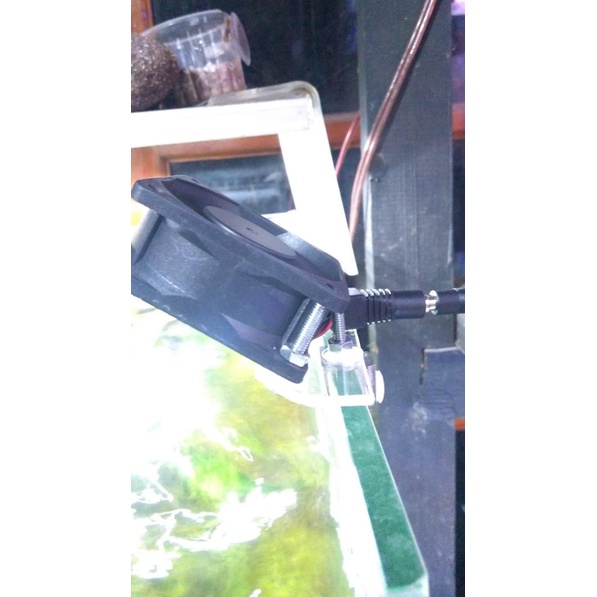 Aquascape & air laut fan mini speed