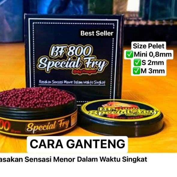 PELET BF1800 & BF800 STRONG COLOR BIG HEAD PAKAN LOHAN LOUHAN TERBAIK - BF800, Mini