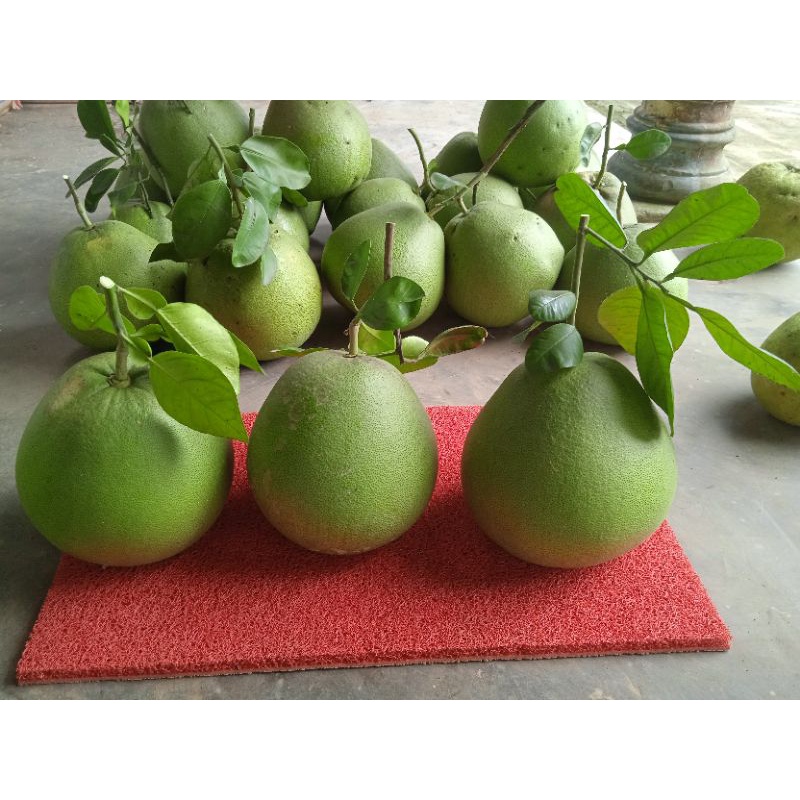 

jeruk pamelo madu pakai_tangkai. BERAT(1,9kg_&_2KG)