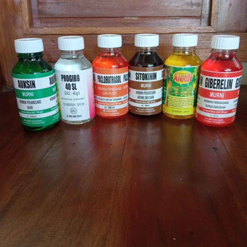 ZPT Ukuran 500ml AUKSIN GIBERELIN SITOKININ ANRIN PACLOBLUTRASOL PROGIBB