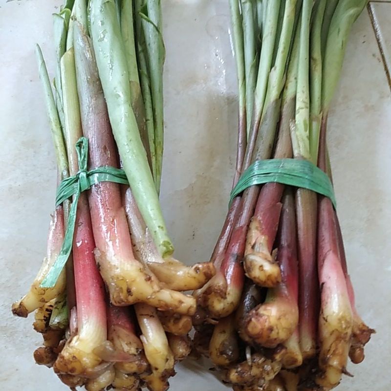 

Sayur Boros fresh seikat