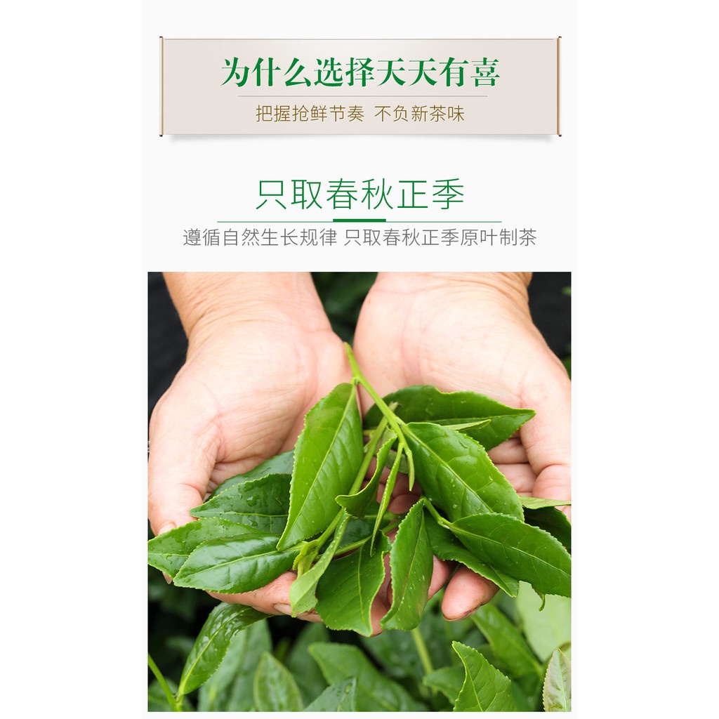 【HARGA PER BUNGKUS】Tie Guan Yin CHINESE TEA 8gram/Teh China TieGuanYin Teh Oolong 雅鑫苑 铁观音 中国茶