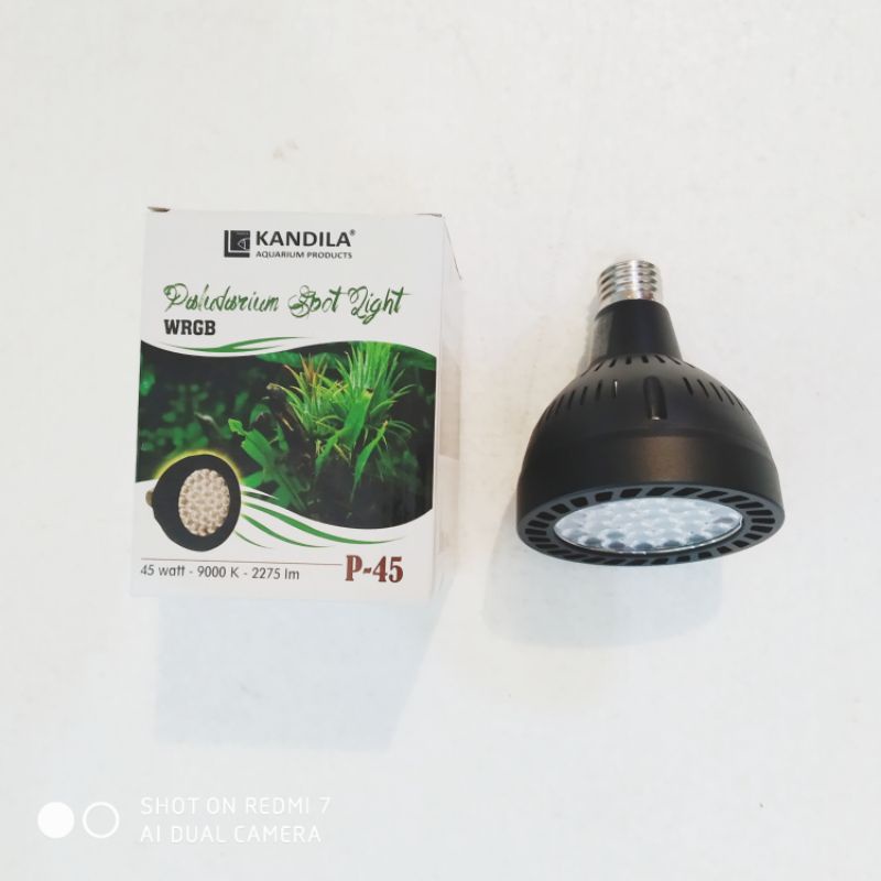 Kandila Spot Light P45 Paludarium