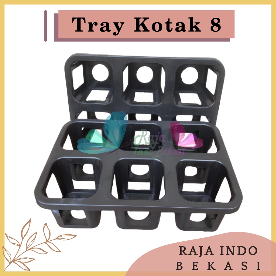 Tray Pot Kotak 8 cm Warna Hitam Tray Semai Bibit TRYPOT KOTAK 8 cm NKT 8 cm NKT JUOSS 8 Tray Semai 200 105 50 128 72 288 Lubang Padi Tutup Tebal-Tray pot nkt kotak 8cm (tanpa pot) | nkt kotak 8cm | tray semai bibit