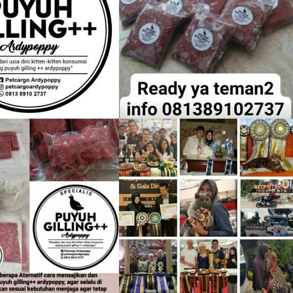 CAT RAW FOOD PUYUH GILING