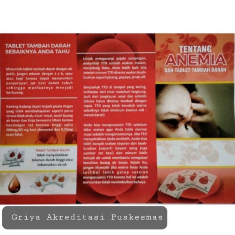 Leaflet Tentang Penyakit Anemia dan TTD