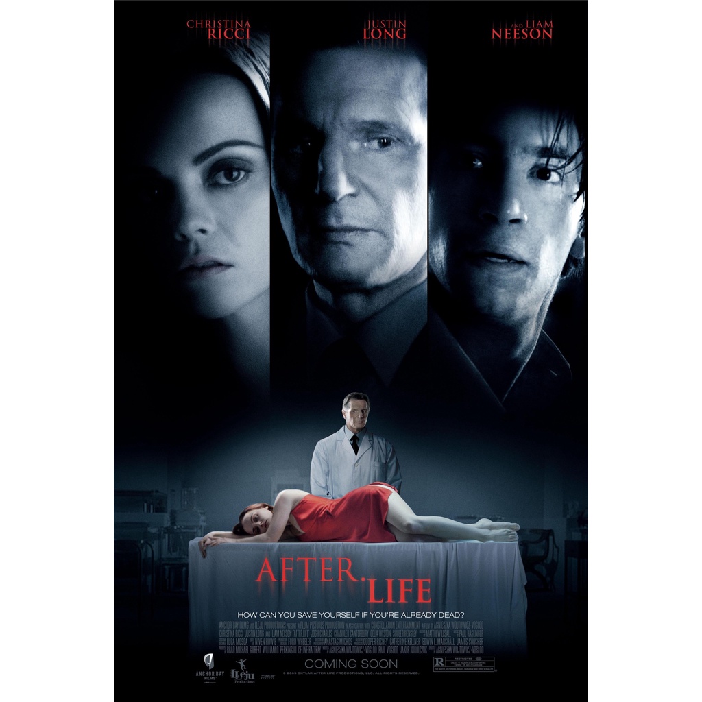 DVD After Life (2009)