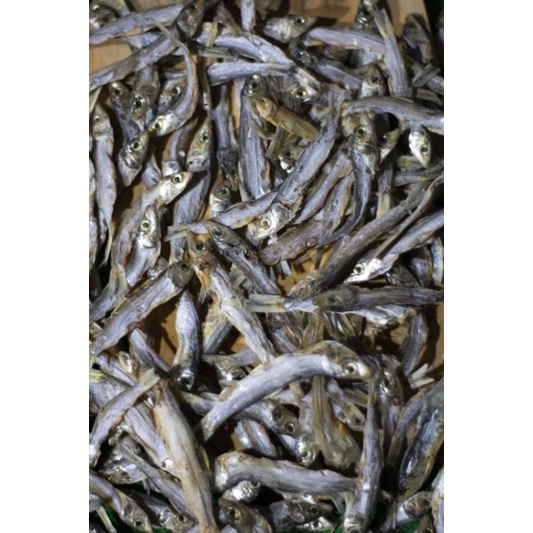 

IKAN ASIN/MACO TAMBAN ALUIH 250 gram