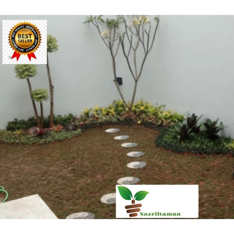 Paket Taman Minimalis Depok - Jasa Taman