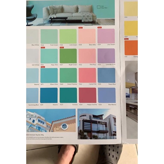 Q Luc / Q-Luc / Qluc 5 kg Nippon Paint