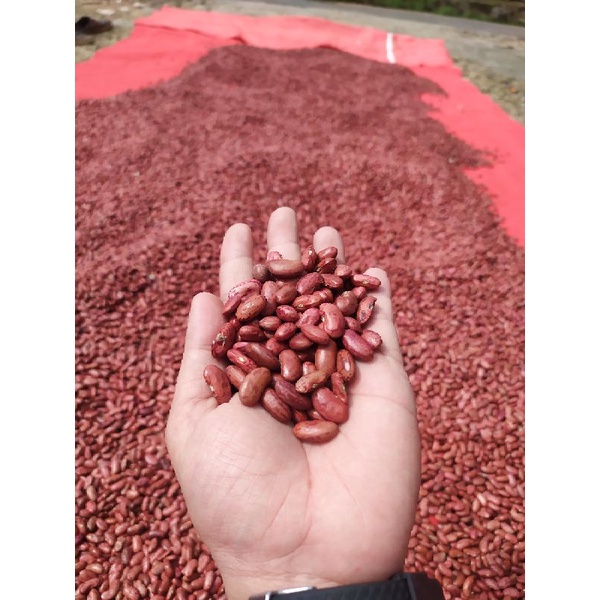 KACANG MERAH KERING 1KG