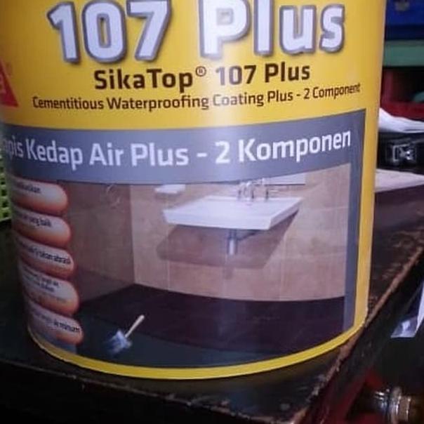 Sika Top 107 Plus (4 Kg)