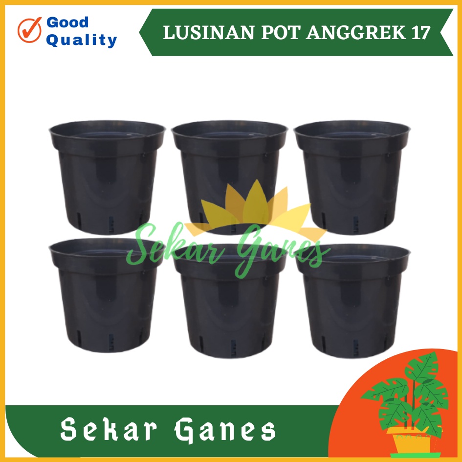 PAKETAN LUSINAN Pot Anggrek 17 Hitam Isi 12 Pcs TERMURAH GROSIR Pot Anggrek Lusinan Hitam Murah Termurah