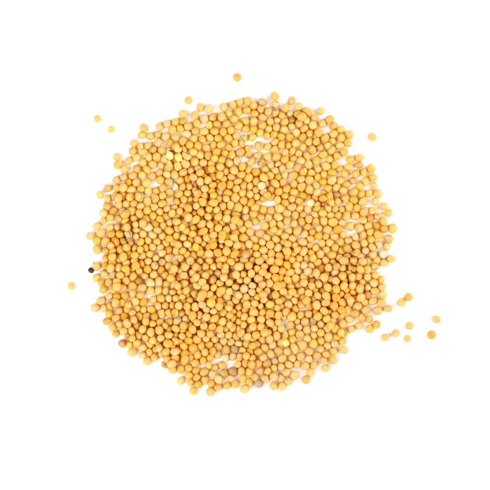 

Yellow Mustard Seed 1Kg / Biji Sawi Kuning Import / Rai Seeds