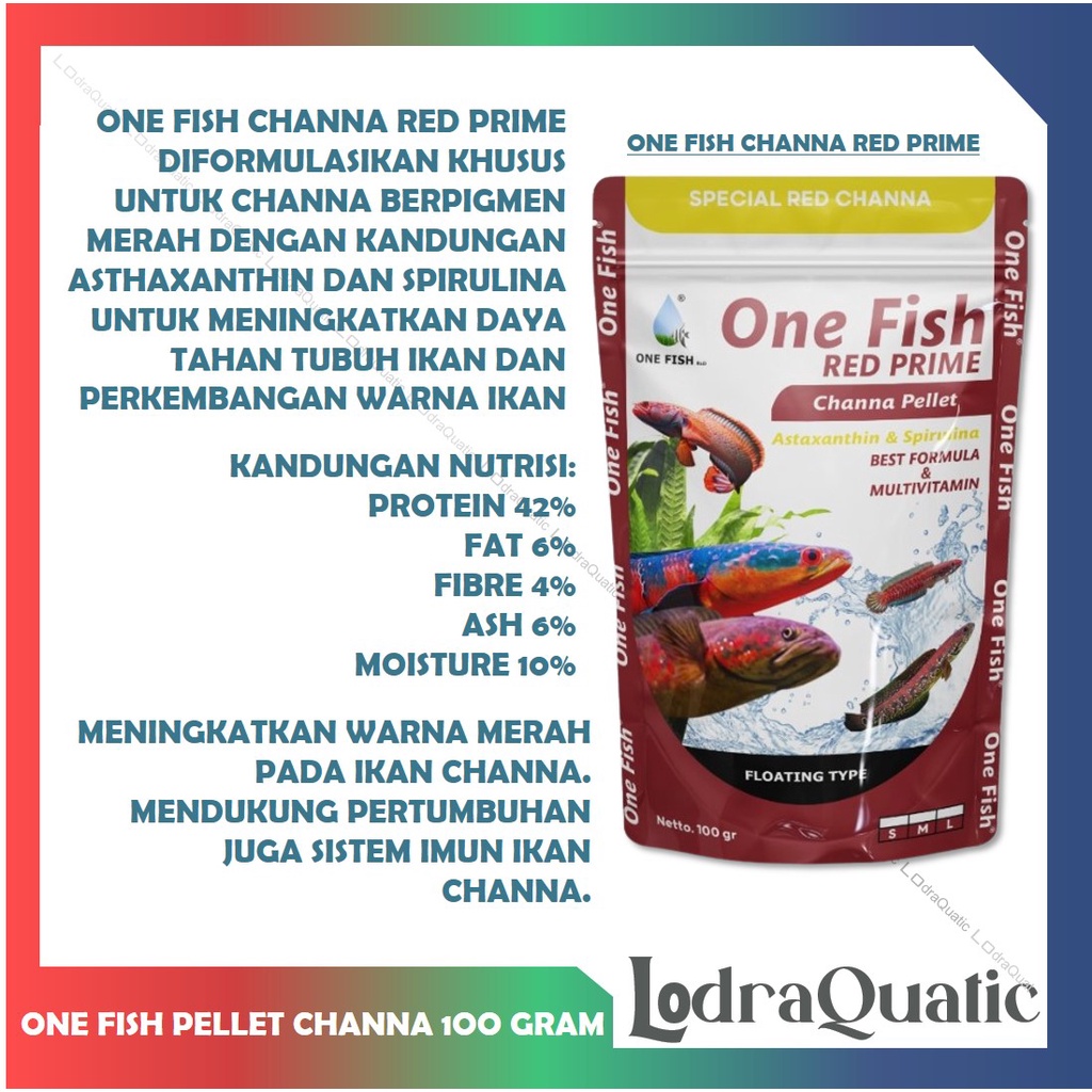 ONE FISH PELET CHANNA PELET BOOSTER WARNA CHANNA ANTI STRESS PAKAN IKAN CHANA PULCHRA AURANTI ASIATICA YS ANDRAO  KHUSUS PROGRESS CHANA PREMIUM RED PREMIUM BLUE PREMIUM YELLOW