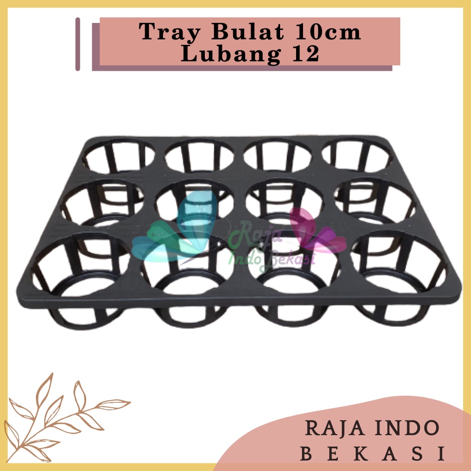 Tray Bulat 10cm Lubang 12 Untuk Anggrek/Pot Semai Pot Bulat Bibit Benih Flexible-Tray Anggrek 12 Lubang /Tray Anggrek Dewasa 3,5&quot;