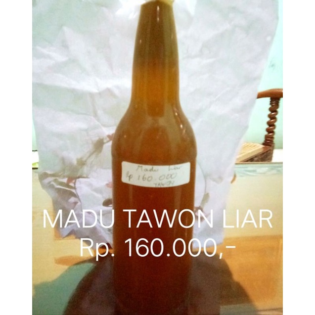 MADU tawon asli liar