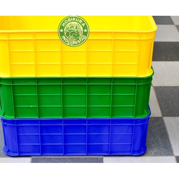Kontainer Box / Kandang Kura - Kura Darat / Torto / Sulcata / Pardalis - Kuning