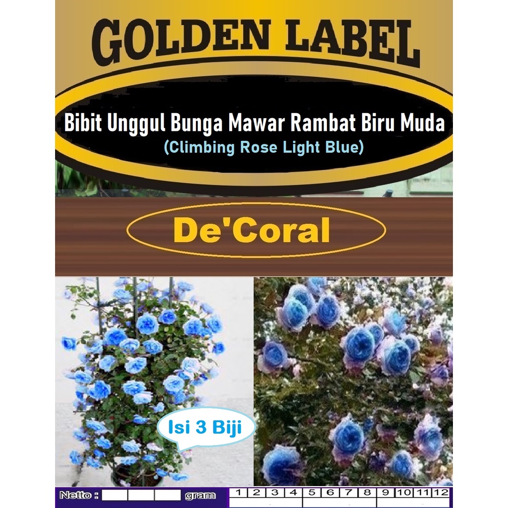 Bibit Unggul Bunga Mawar Rambat Biru Muda|Benih Mawar Rambat Biru Muda