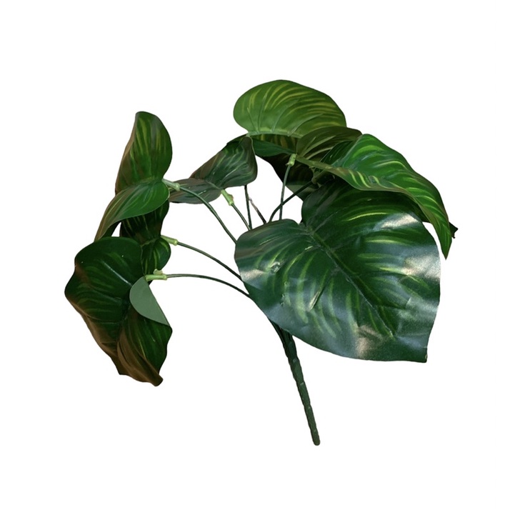 

daun buket tanggung
