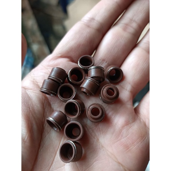 seal klep jupiter mx