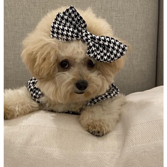 baju anjing poodle jumpsuit houndstooth free pita pawpawsome projects - Hitam, S