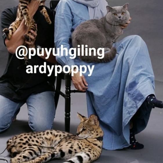 CAT RAW FOOD PUYUH GILING