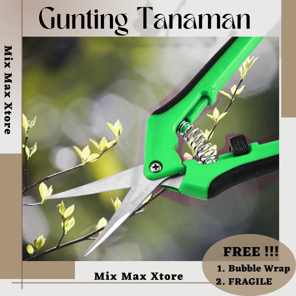 Gunting Kebun Mini Pemotong Ranting Tumbuhan Bunga Bonsai - Green
