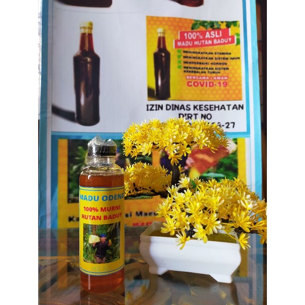 

MADU ODENG ASLI HUTAN BADUY-MADU MANIS 100% ASLI