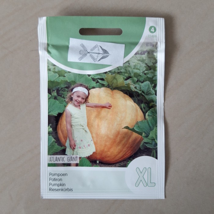 BIBIT - BENIH PUMPKIN ATLANTIK GIANT - LABU RAKSASA