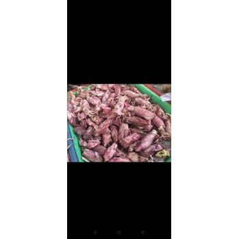 

Cumi Kering/Cumi Asin