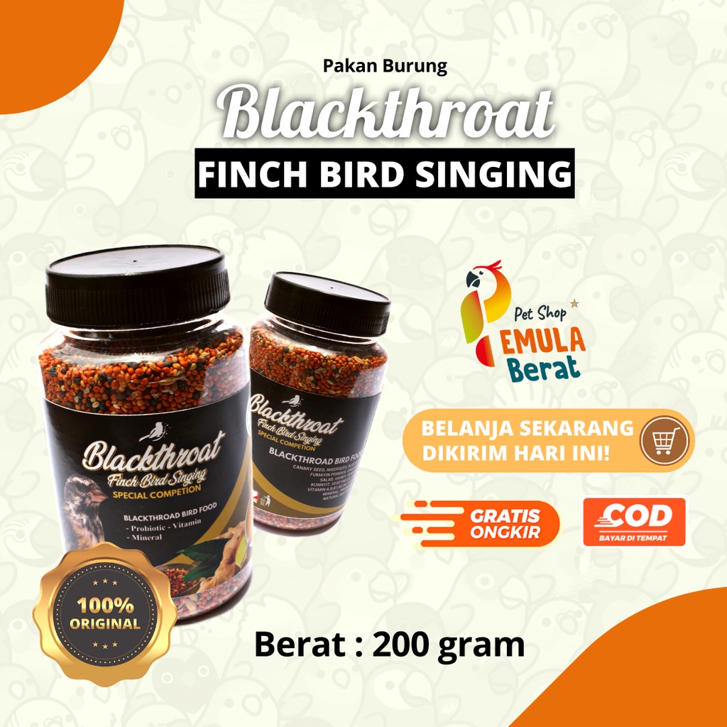 PAKAN BURUNG BLACKTHROAT FINCH BIRD SINGING PAKAN BLACKTHROAT PAKAN BURUNG BLACKSRUT  PAKAN FINCH BL