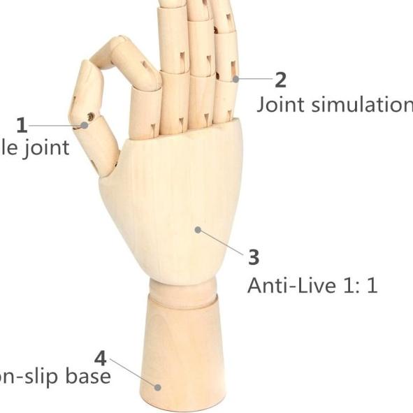 

Manekin Tangan Kayu - Wooden Hand - S, Kanan