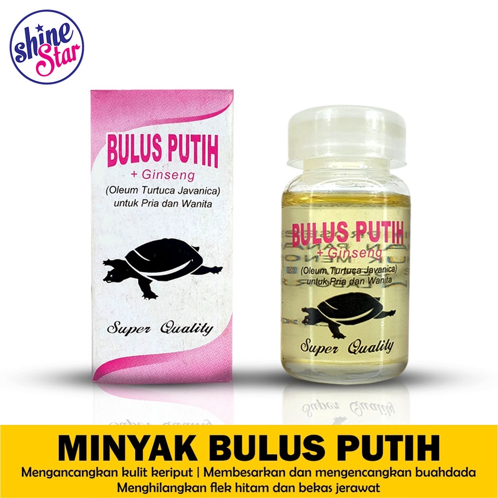 COD - ORIGINAL Minyak Bulus Eyang Laut / Minyak Bulus Putih