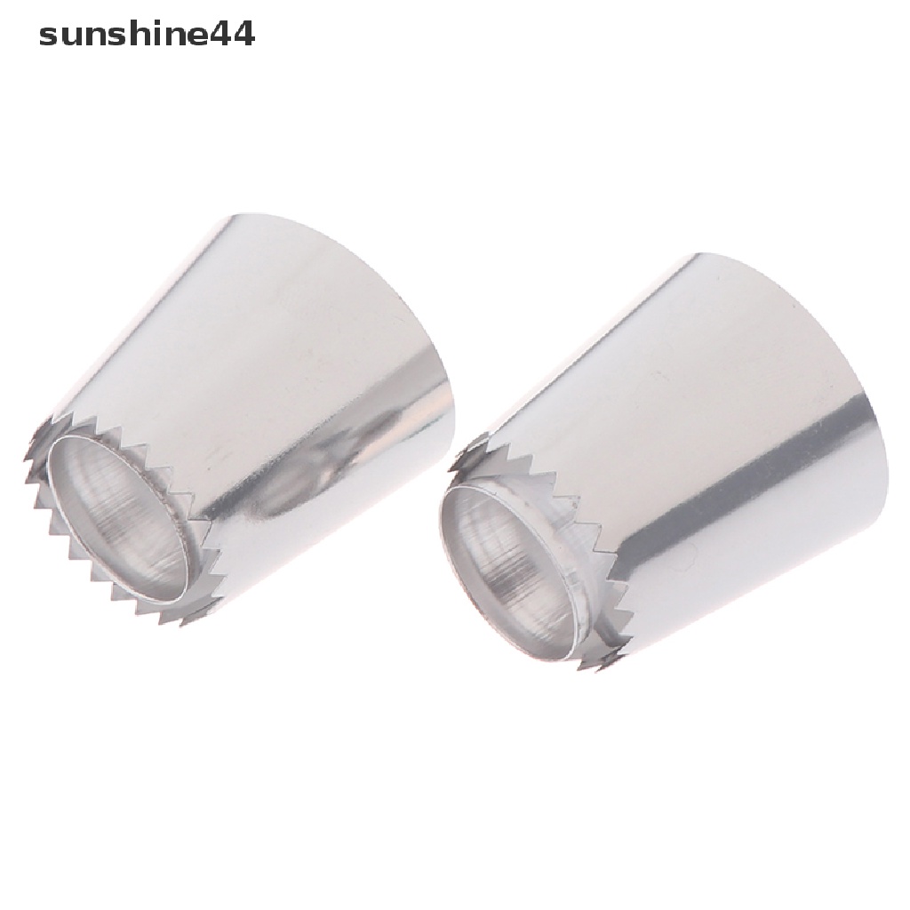 Sunshine 2Pcs Spuit Piping Rusia Ukuran Besar Untuk Dekorasi Kue