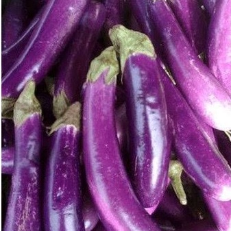 

terong 500gr